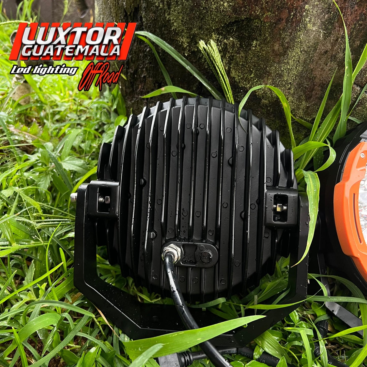 Neblinera Luxtor de Carcasa Intercambiable de 9"