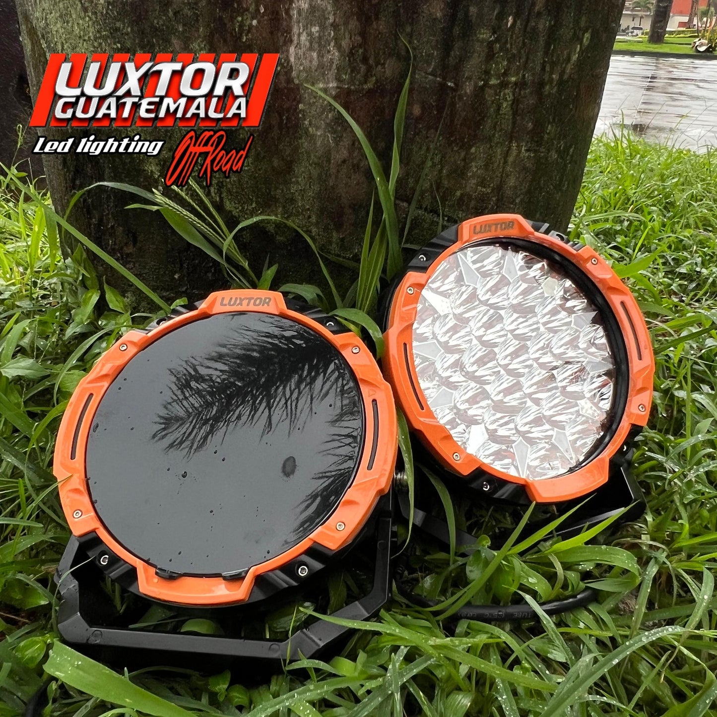 Neblinera Luxtor de Carcasa Intercambiable de 9"