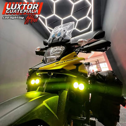 Exploradora LEMON GREEN