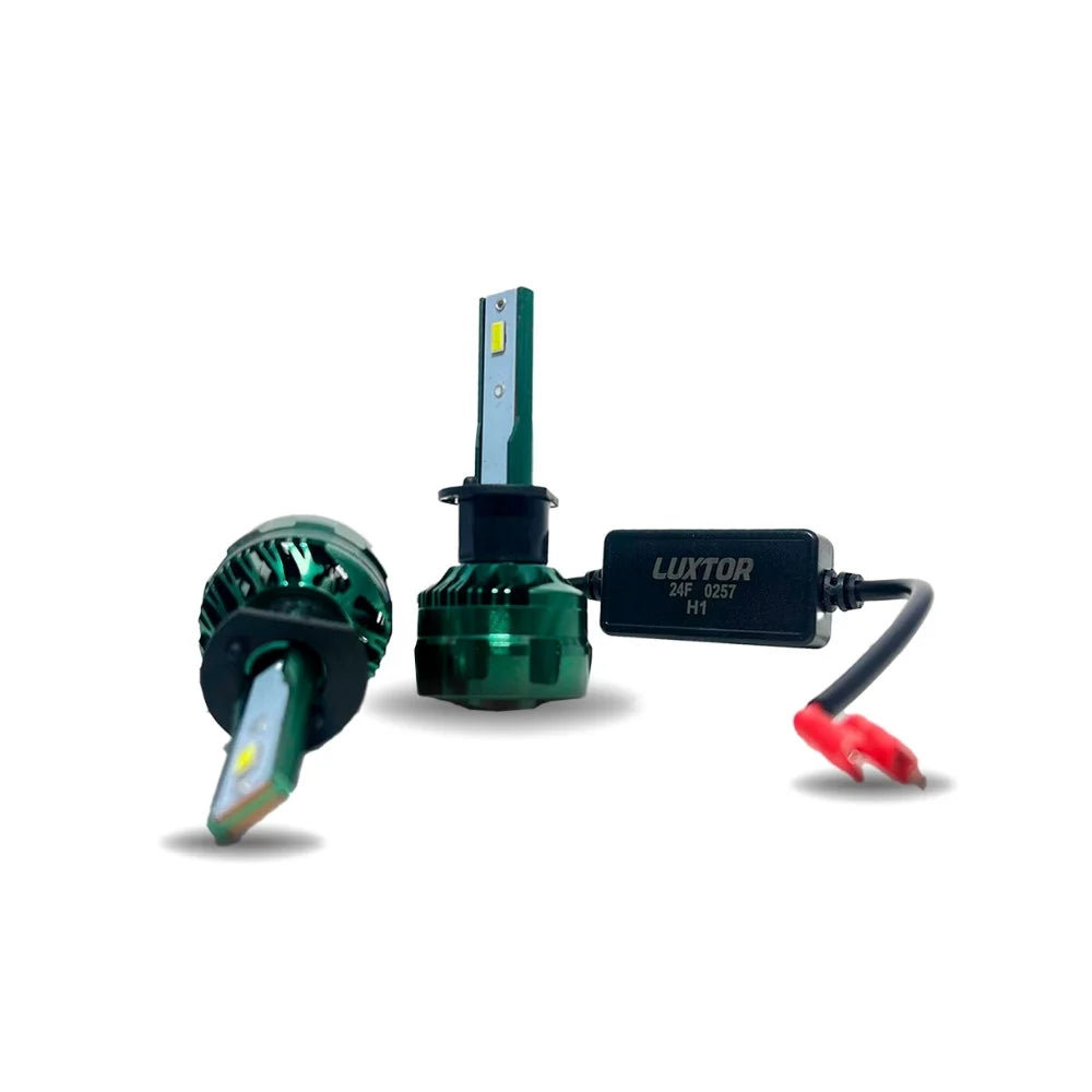 Bombillas Led Luxtor H1 - F8 Series
